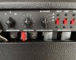画像2: Overdrive Reverb 22W Att Head (2)