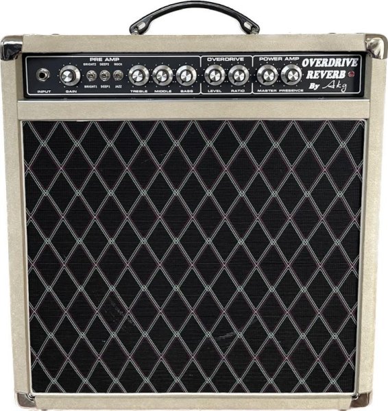画像5: Overdrive Reverb 22W-12インチAttCombo (5)