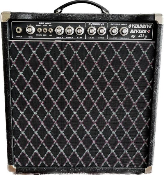 画像3: Overdrive Reverb 22W-12インチAttCombo (3)