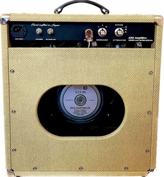 画像4: Blues Special 22W-12インチAttCombo (4)