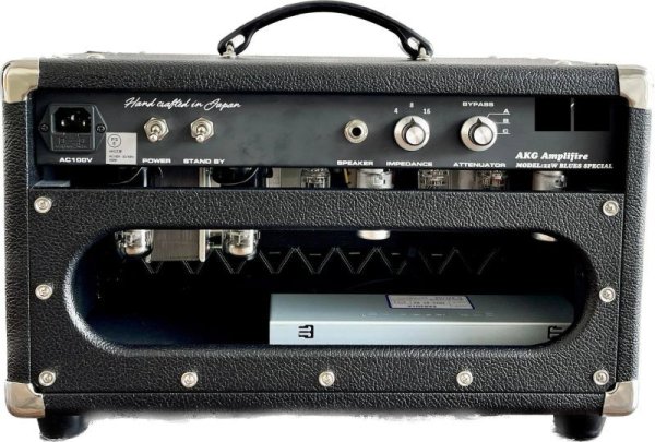 画像2: Blues Special Reverb 22W Att Head (2)