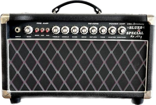 画像1: Blues Special Reverb 22W Att Head (1)