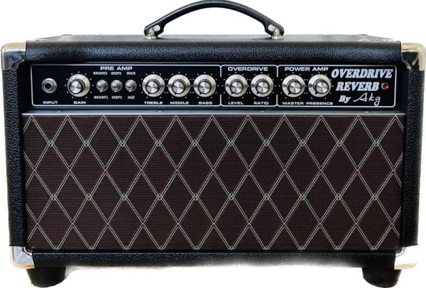 画像3: Blues Special Reverb 22W Att Head (3)