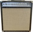 画像3: Blues Special 22W-12インチAttCombo (3)