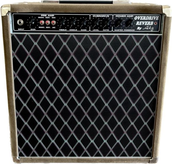 画像1: Overdrive Reverb 22W-12インチAttCombo (1)