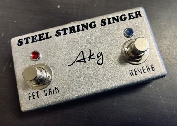 画像3: SteelStringSinger50W Att Head (3)