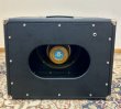 画像10: 12インチ×1キャビネット【受注生産品】 (10)