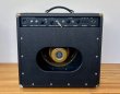 画像2: OverdriveSpecial EFXLoop22W-12インチCombo (2)