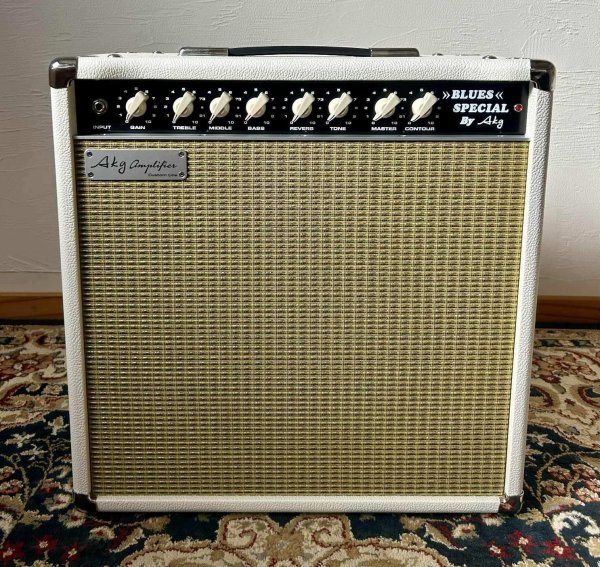 画像1: BluesSpecial 22W Att Combo (1)