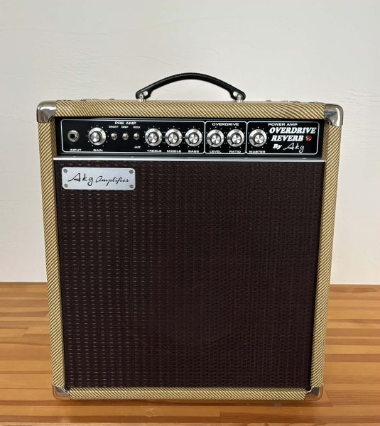 画像1: Overdrive Reverb 8WCombo (1)