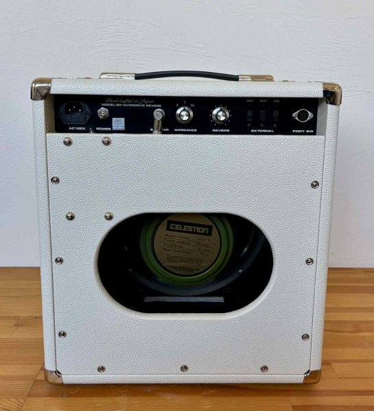 画像2: OverdriveReverb8WCOMBO (2)