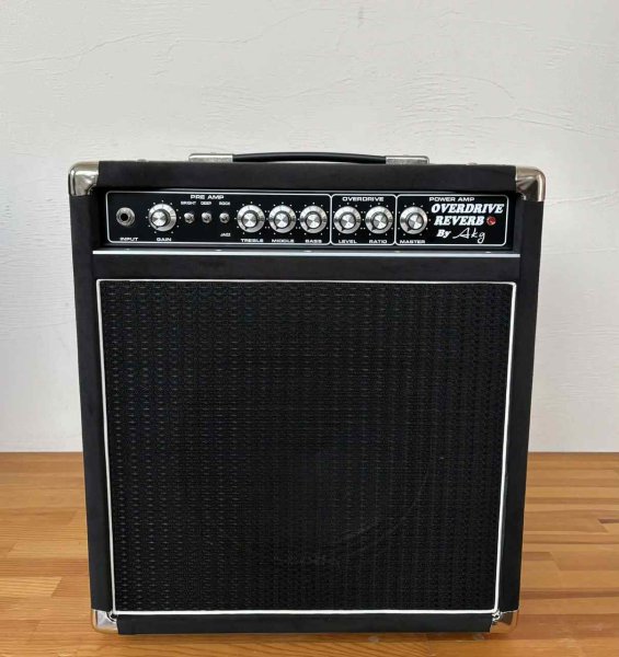 画像1: OverdriveReverb8WCOMBO (1)