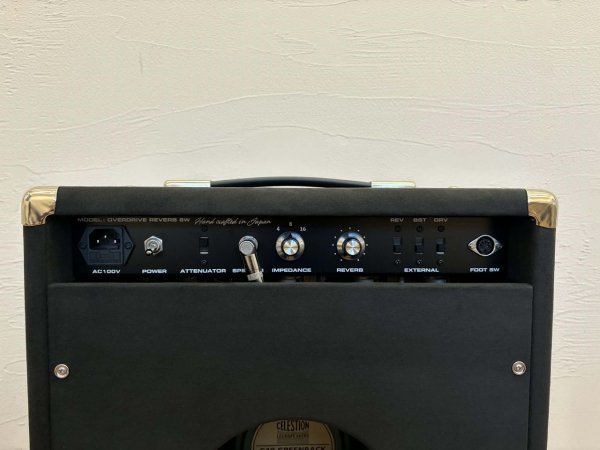 画像3: OverdriveReverb8WCOMBO (3)