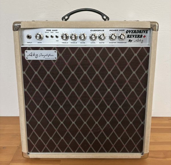 画像3: Overdrive Reverb 22W-12インチAttCombo (3)