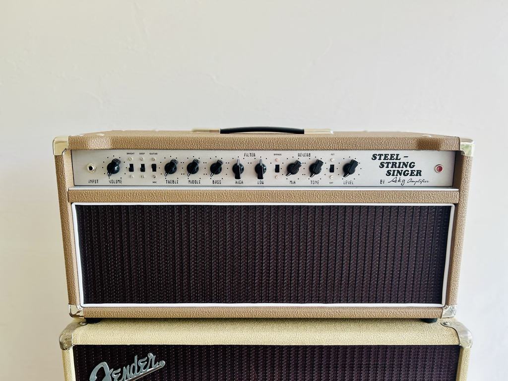 AKG Sound Design SteelStringSinger50W Att Head PILOT RUN